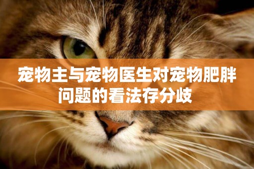 寵物主與寵物醫生對寵物肥胖問題的看法存分歧 