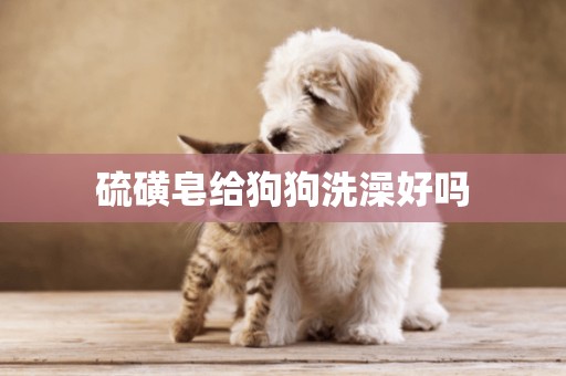 硫磺皂給狗狗洗澡好嗎