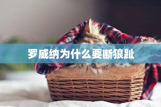 羅威納為什么要斷狼趾