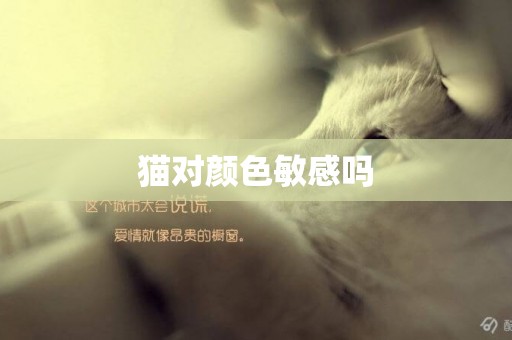 貓對顏色敏感嗎