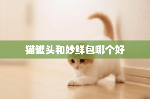 貓罐頭和妙鮮包哪個好