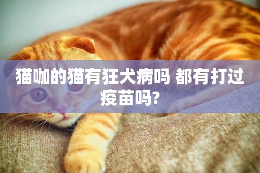貓咖的貓有狂犬病嗎 都有打過疫苗嗎?