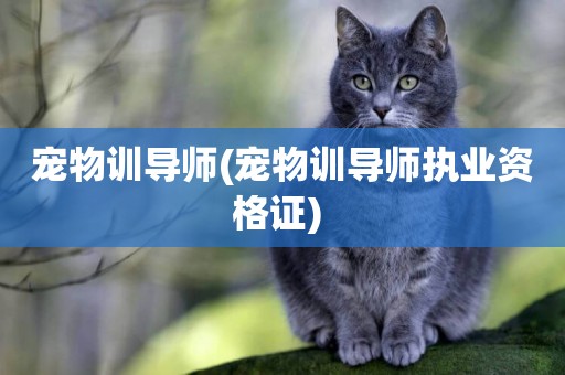 寵物訓導師(寵物訓導師執業資格證) 