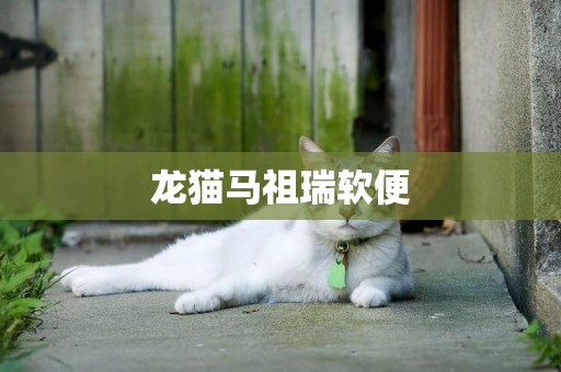 龍貓馬祖瑞軟便