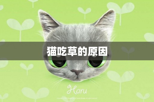 貓吃草的原因
