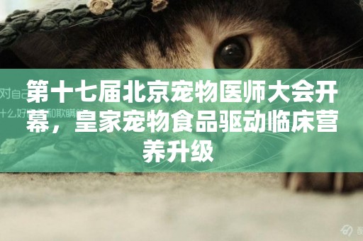 第十七屆北京寵物醫師大會開幕，皇家寵物食品驅動臨床營養升級 