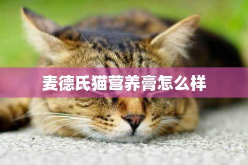 麥德氏貓營養膏怎么樣