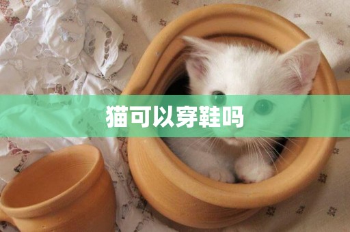 貓可以穿鞋嗎