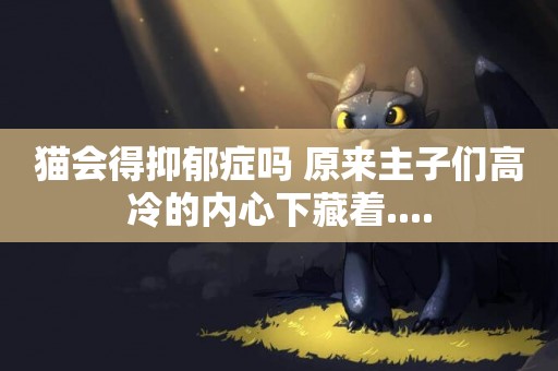 貓會得抑郁癥嗎 原來主子們高冷的內心下藏著....