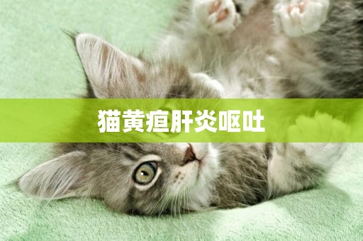 貓黃疸肝炎嘔吐