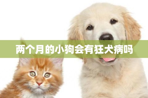 兩個月的小狗會有狂犬病嗎