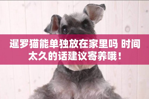 暹羅貓能單獨放在家里嗎 時間太久的話建議寄養哦！