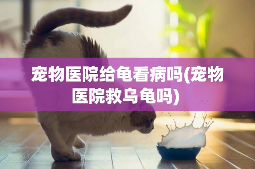 寵物醫院給龜看病嗎(寵物醫院救烏龜嗎) 