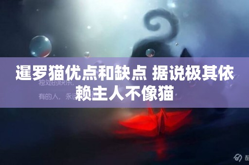 暹羅貓優點和缺點 據說極其依賴主人不像貓