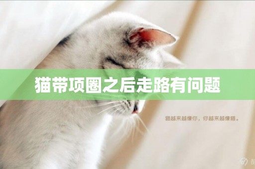 貓帶項圈之后走路有問題