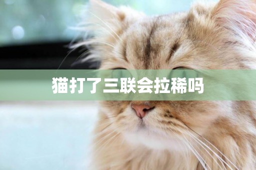 貓打了三聯會拉稀嗎