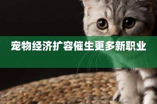 寵物經濟擴容催生更多新職業 