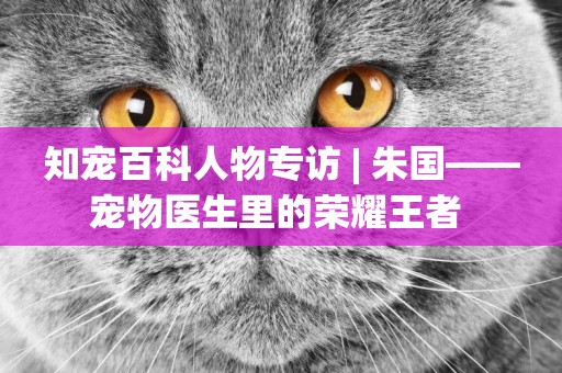 知寵百科人物專訪 | 朱國——寵物醫生里的榮耀王者 