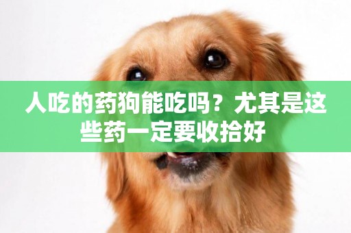人吃的藥狗能吃嗎？尤其是這些藥一定要收拾好 