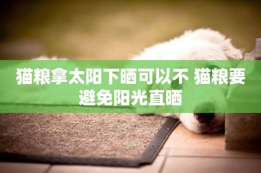 貓糧拿太陽下曬可以不 貓糧要避免陽光直曬