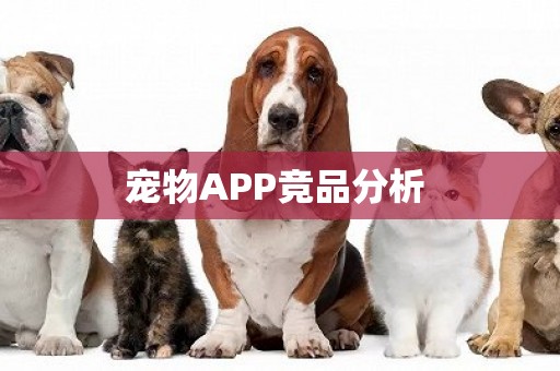 寵物APP競品分析 