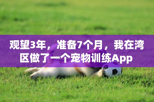 觀望3年，準備7個月，我在灣區做了一個寵物訓練App 