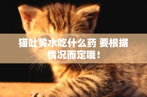 貓吐黃水吃什么藥 要根據情況而定哦！
