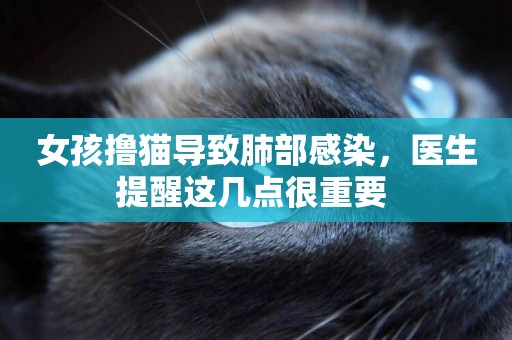 女孩擼貓導致肺部感染，醫生提醒這幾點很重要 