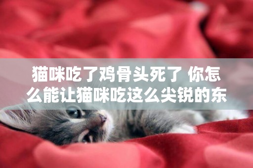 貓咪吃了雞骨頭死了 你怎么能讓貓咪吃這么尖銳的東西！