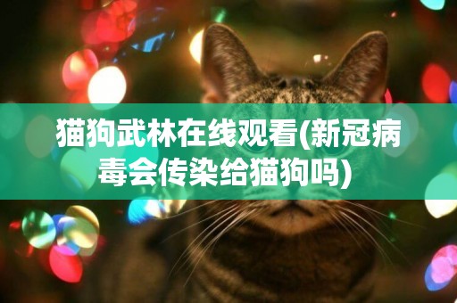 貓狗武林在線觀看(新冠病毒會傳染給貓狗嗎) 