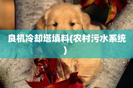 良機冷卻塔填料(農村污水系統) 