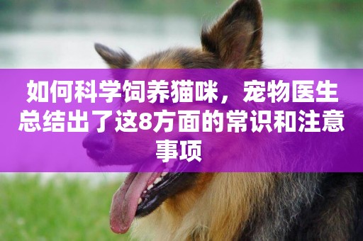 如何科學飼養貓咪，寵物醫生總結出了這8方面的常識和注意事項 