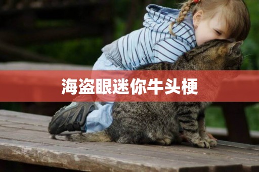 海盜眼迷你牛頭梗