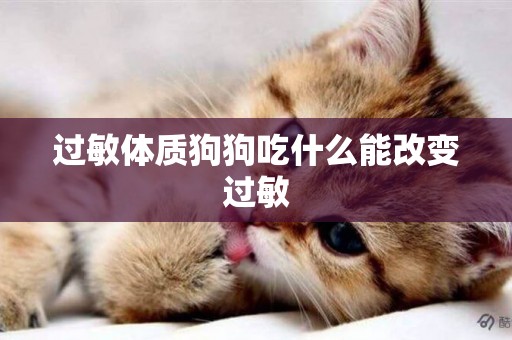 過敏體質狗狗吃什么能改變過敏