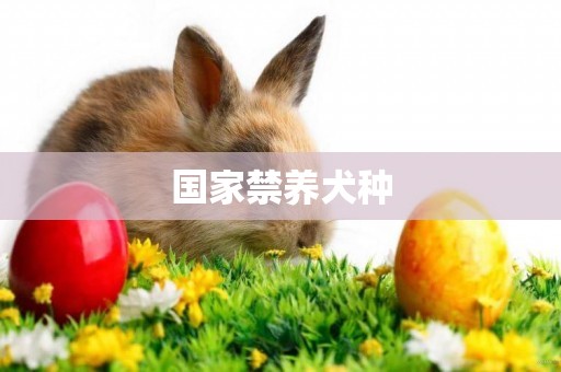 國家禁養犬種