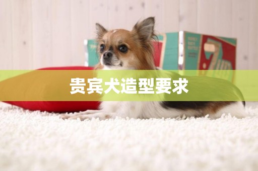 貴賓犬造型要求