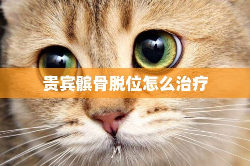貴賓髕骨脫位怎么治療