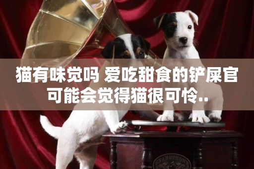 貓有味覺嗎 愛吃甜食的鏟屎官可能會覺得貓很可憐..
