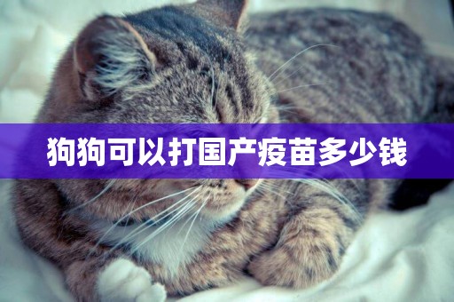 狗狗可以打國產疫苗多少錢
