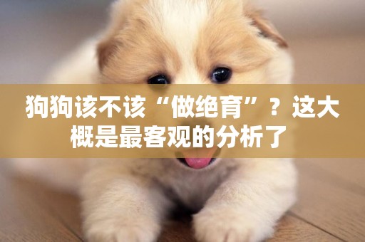 狗狗該不該“做絕育”？這大概是最客觀的分析了 