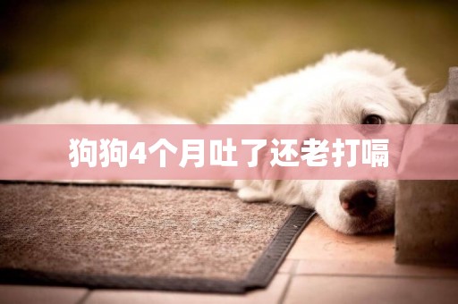 狗狗4個月吐了還老打嗝