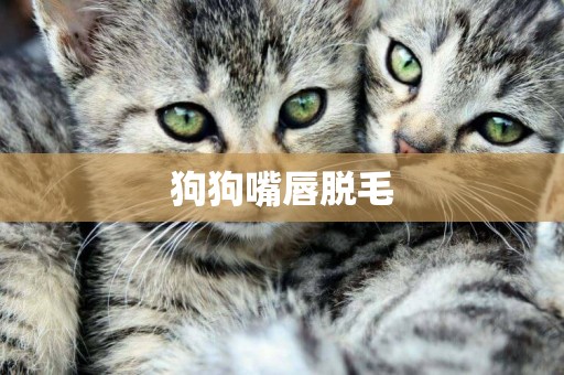 狗狗嘴唇脫毛
