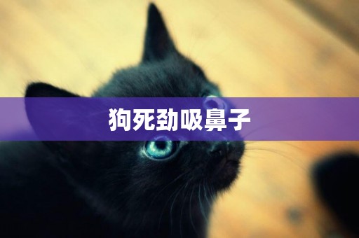 狗死勁吸鼻子