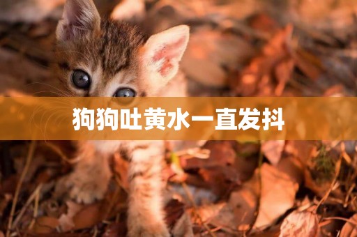 狗狗吐黃水一直發抖