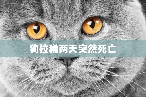 狗拉稀兩天突然死亡