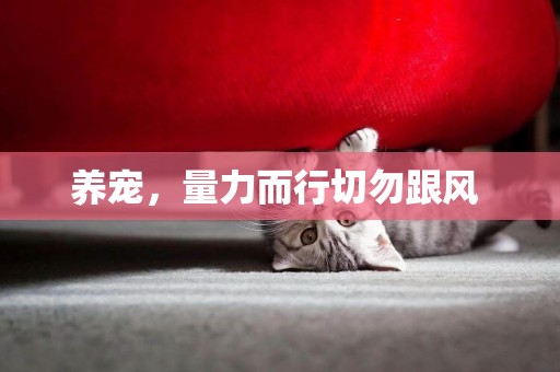 養寵，量力而行切勿跟風 