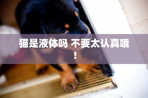 貓是液體嗎 不要太認真哦！