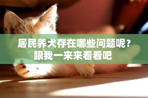 居民養犬存在哪些問題呢？跟我一來來看看吧 