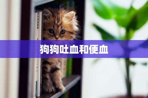 狗狗吐血和便血