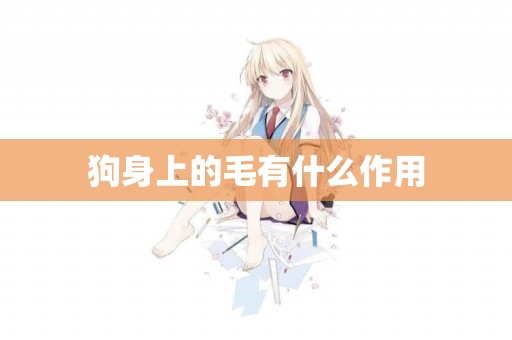 狗身上的毛有什么作用